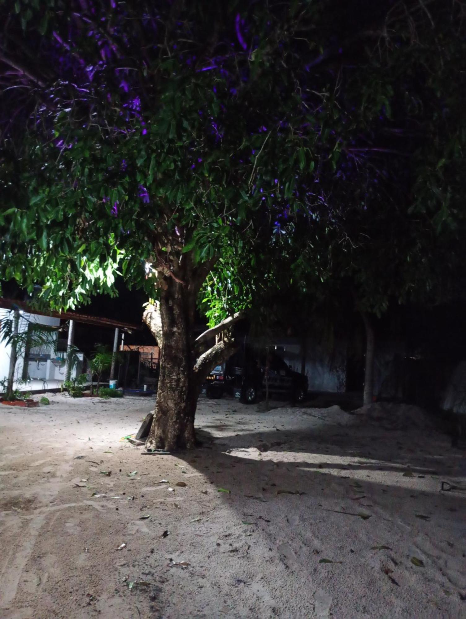Hostel E Camping Na Rua Das Flores Santo Amaro do Maranhao Εξωτερικό φωτογραφία