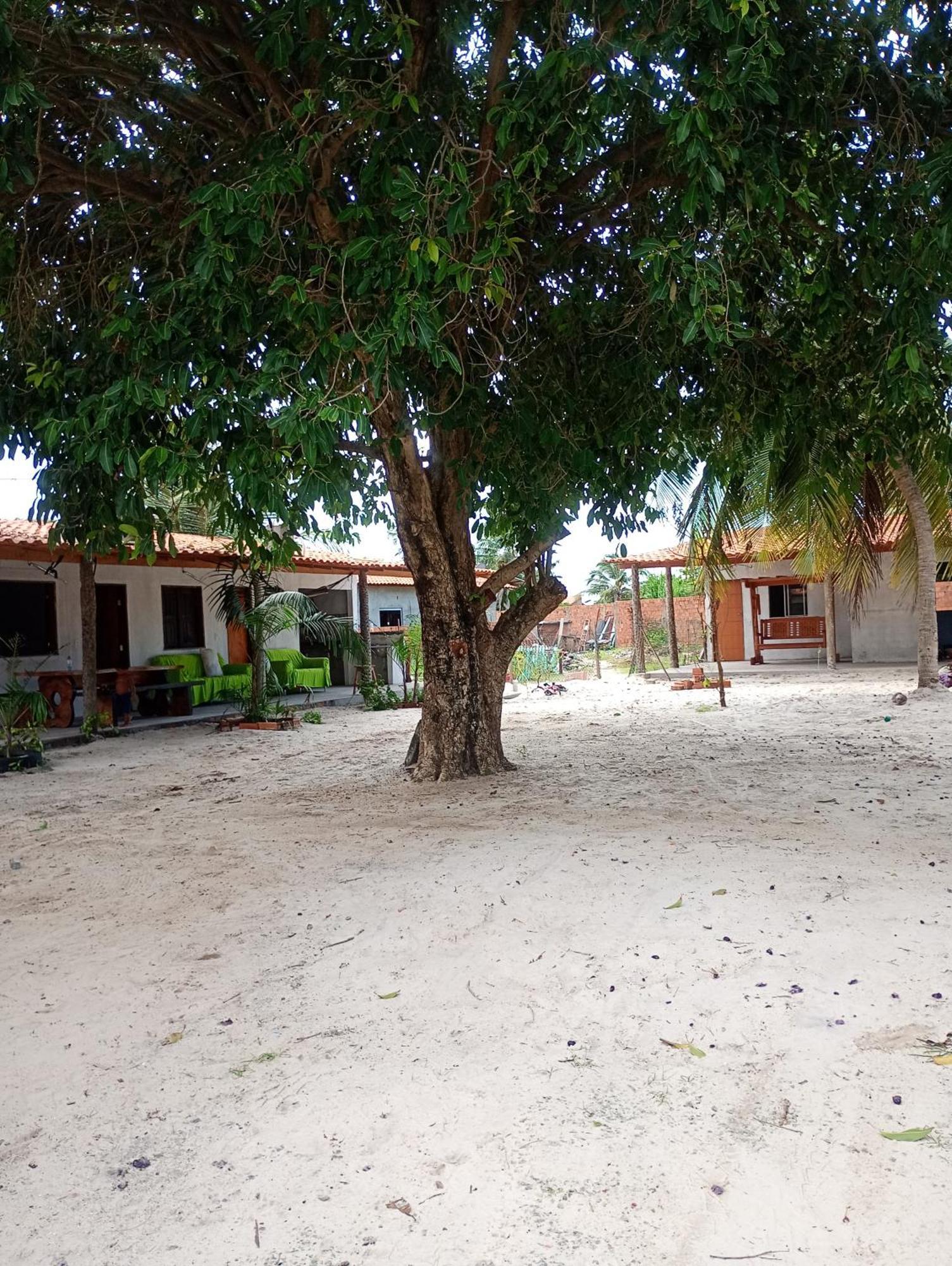 Hostel E Camping Na Rua Das Flores Santo Amaro do Maranhao Εξωτερικό φωτογραφία