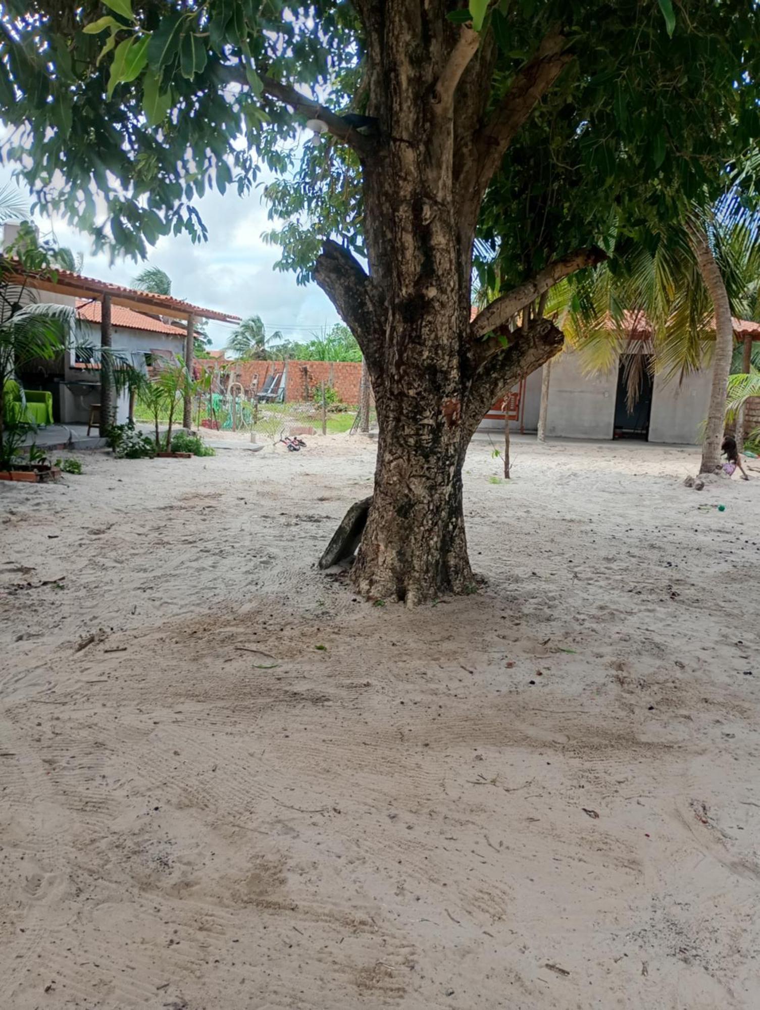 Hostel & Camping Caminho Pros Lencois Santo Amaro do Maranhao Εξωτερικό φωτογραφία